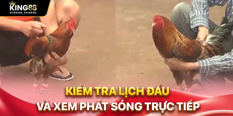 Kiểm tra lịch đấu và xem phát sóng trực tiếp